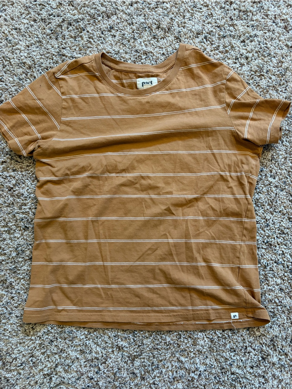 Pact Stripe Short Sleeve Tee